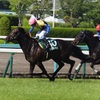 114R 鳴尾記念予想　馬券チャレンジ⑨