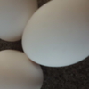 ゆで卵をちょっとだけ簡単に作る方法　きれいに皮をむくコツと皮がむけなくなってしまったときの対処法