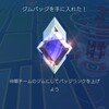 昨今のジムバッジ事情
