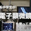 理系中学生が「電子顕微鏡」を使ってみた