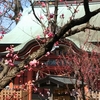 菅原神社の春