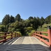 室生寺のシャクナゲ