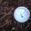 堆肥の温度