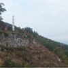 気ままにぶらっと城跡へ㉛観音寺城へ行ってきた