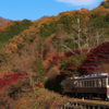 鉄ヲタ萩広史による鉄道の紹介！（わたらせ渓谷鐵道わたらせ渓谷線について)