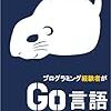 【超初級編】使ったことないけど、Go言語でも勉強してみようかと思う