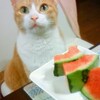 【番外編】どうしても伝えたくなったこと。