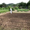 久那で蕎麦の種まき