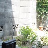 昼寝