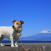 今日ノ富士山