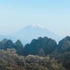 今朝の景色