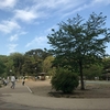 公園のラジオ体操