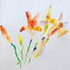 日々絵「ヘメロカリス　Hemerocallis」23.06.21