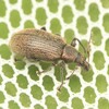  裏高尾、気温低くボーズ