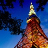 東京タワーの魅力🗼