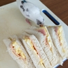 つまみ食いしてくるインコ