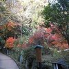 紅葉狩―湯河原―