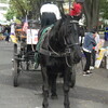 世田谷まちなか観光馬車