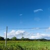 『久しぶりの土地、見知らぬ町の四日間」