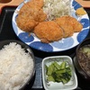 ランチ 5/31 ロース＆ヒレかつ定食