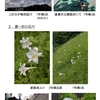鴨志田西団地風景写真（夏～秋編）の発表