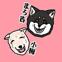 One Piece ワンピース キャラクター診断をやってみた あなたは何キャラか 結果はまさかのあのキャラで思わず歓喜 のムのム 自然体つぶやきブログ