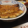 ウナギが絶滅する前にうな重を食べてきた