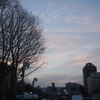 29, 01. 2012　夕暮れの公園