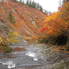 秋田の紅葉　その５