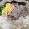 沖縄そばを食べまくる小生【6食目、7食目】