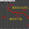 【コロナ禍】強制ロスカットを回避する-トライオートETF【再び】