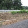 草刈りサタデー