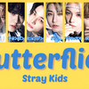 【歌詞和訳/るび】Butterflies：バタフライズ - Stray Kids：ストレイ・キッズ