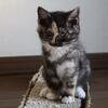嬉しいご報告と　心あたたまるプレゼント