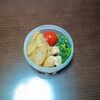 今週のミニタッパー弁当と、右手右肩痛。
