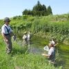 「明神堰地区における生き物調査について」