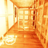 影廊 - Shadow Corridor 検証（聖域 - 格子扉バリケード）