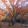 花貫渓谷　名馬里ヶ淵の紅葉