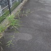 陶芸教室へ