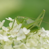 カラリと晴れた土曜日