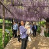 藤まつり後はバーベキューです。