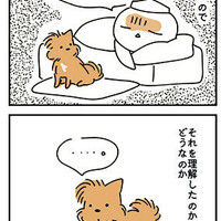 【犬漫画】ちょっと体調を崩した話【夏】
