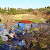 京都ぶらり　本日の一枚　梅小路公園