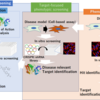 Target-focused phenotypic screeningについて