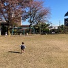 公園