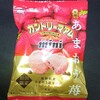 カントリーマアムミニ 旬摘みあまおう苺！いちごとチョコチップの味わえるクッキー菓子