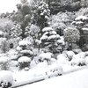 今年一番の寒波、そしてまあまあの大雪！