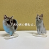雨田甘夏、小物です。【猫と流行りと制作事情】