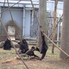 熊本市動植物園の動物たち