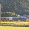 若桜鉄道と桜　　20220406-9